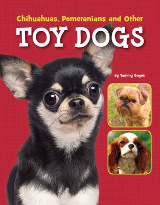 Chihuahuas, Pomeranians and Other Toy Dogs on Hardback by Tammy Gagne