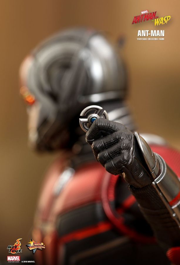 Marvel: Ant-Man (Antman & The Wasp) - 12" Articulated Figure image