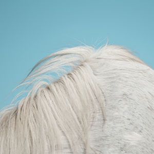 All Yours by Widowspeak image
