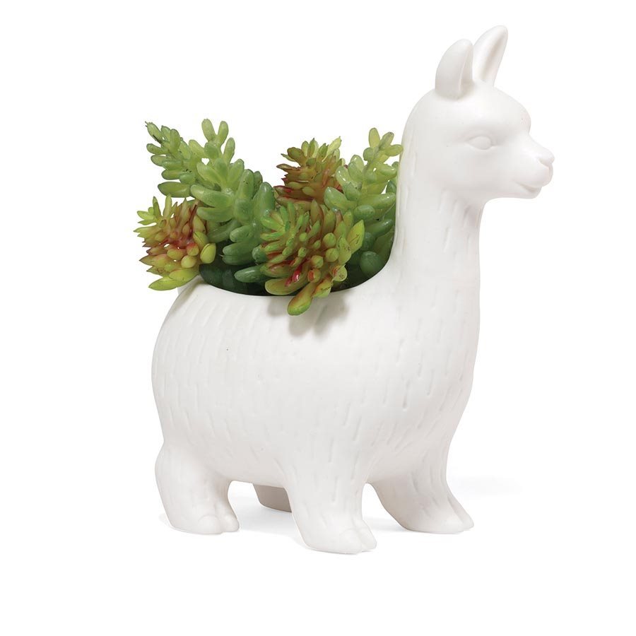 Kikkerland: Lloyd the Llama Planter