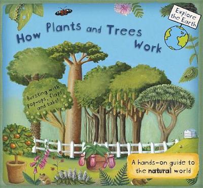 How Plants and Trees Work on Hardback by Christiane Dorion