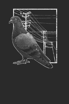 Pigeon With Electric Wire image