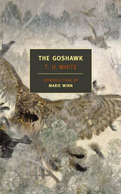 The Goshawk by Marie Winn image