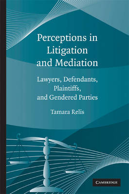 Perceptions in Litigation and Mediation by Tamara Relis image