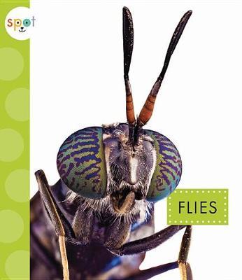 Flies by Nessa Black image