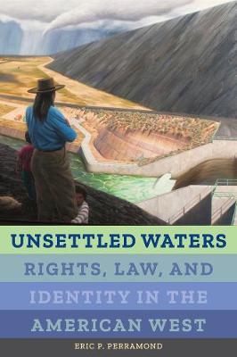 Unsettled Waters by Eric P Perramond image