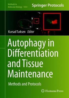 Autophagy in Differentiation and Tissue Maintenance image