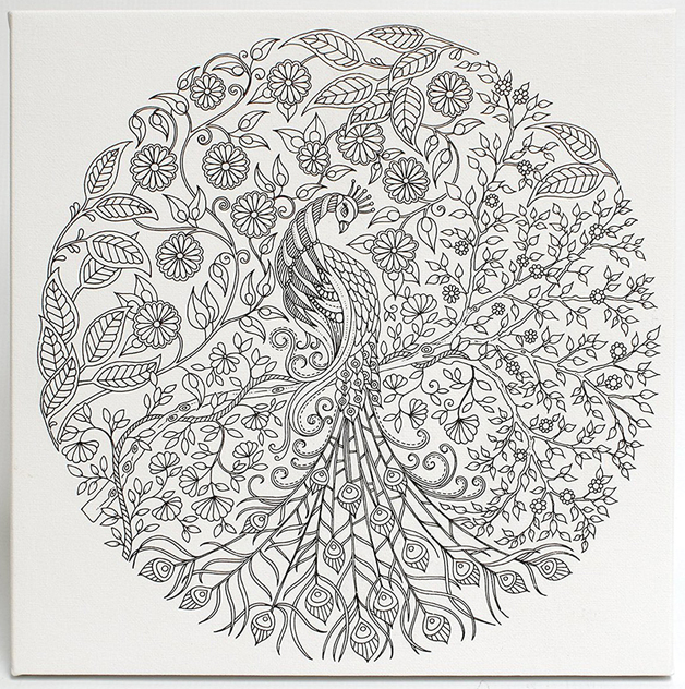 Buy Johanna Basford Canvas 12x12 Secret Garden Peacock at Mighty Ape NZ