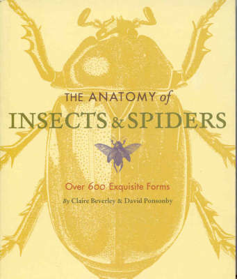 The Anatomy of Insects and Spiders by Claire Beverley image