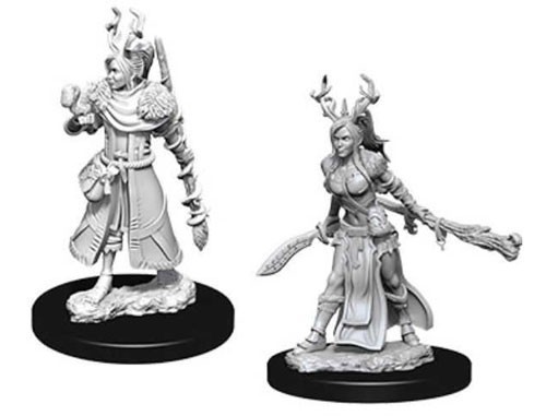 D&D Nolzur's Marvelous: Unpainted Miniatures - Female Human Druid image
