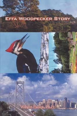 Effa Woodpecker Story by Ph.D. Wilson Essien image