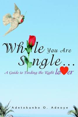 While You Are Single... image