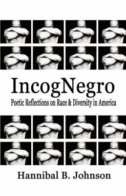 Incognegro by Hannibal B Johnson image