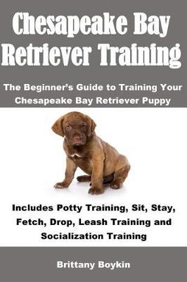 Chesapeake Bay Retriever Training by Brittany Boykin image