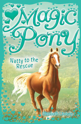 Natty to the Rescue by Elizabeth Lindsay image