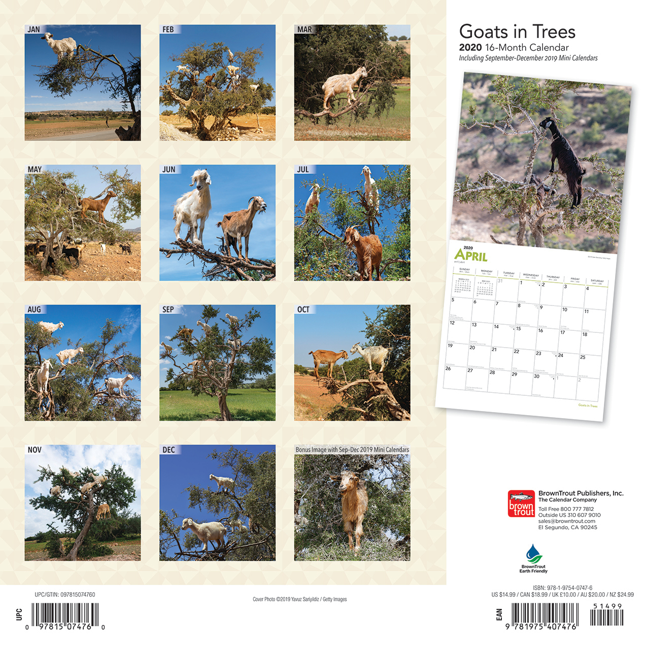 Goats in Trees 2020 Square Wall Calendar image