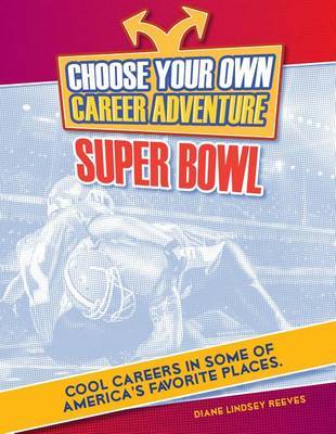 Choose a Career Adventure at the Super Bowl image