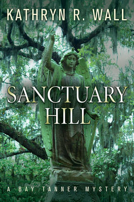 Sanctuary Hill by Kathryn R Wall image