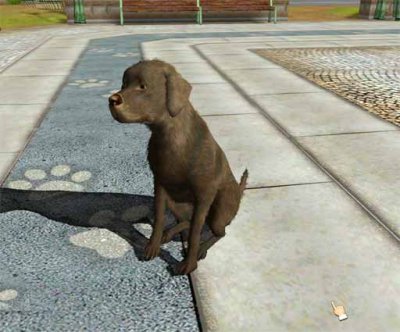 Fetch for PC Games image