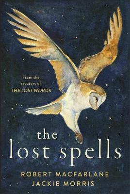 The Lost Spells by Robert Macfarlane image