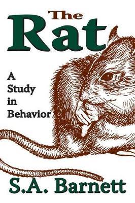 The Rat by S.A. Barnett image