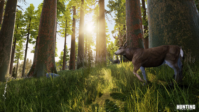 Hunting Simulator for PS4 image