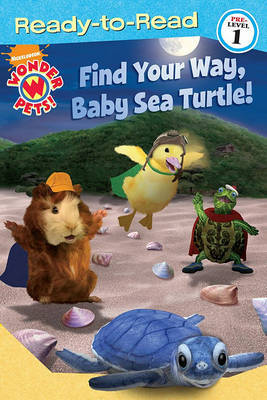Find Your Way, Baby Sea Turtle! by Melinda Richards image