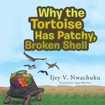 Why the Tortoise Has Patchy, Broken Shell by Ijey Nwachuku image