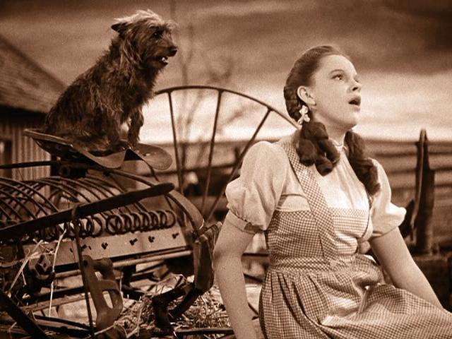 The Wizard of Oz on DVD image
