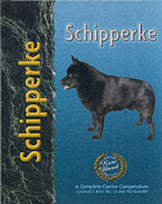 Schipperke by Robert Pollet image
