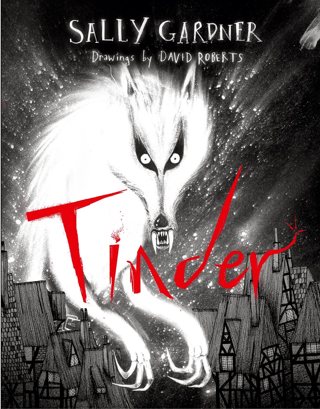 Tinder on Hardback by Sally Gardner