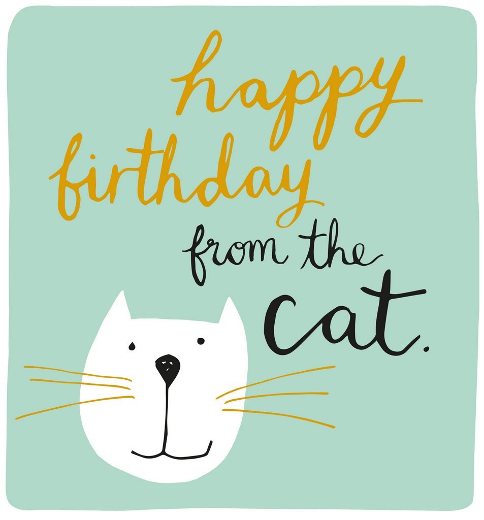 Caroline Gardner: Happy Birthday From The Cat - Greeting Card