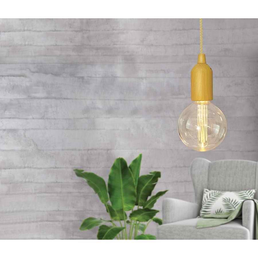 Pull On Edison Light image