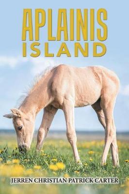 Aplainis Island by Jerren Christian Patrick Carter image