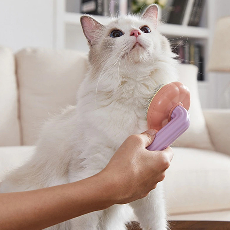 Buy Pumpkin Pet Brush Purple at Mighty Ape Australia