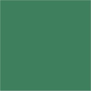 Citadel Layer: Warboss Green image
