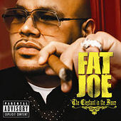 The Elephant In The Room by Fat Joe The Elephant In The Room by Fat Joe