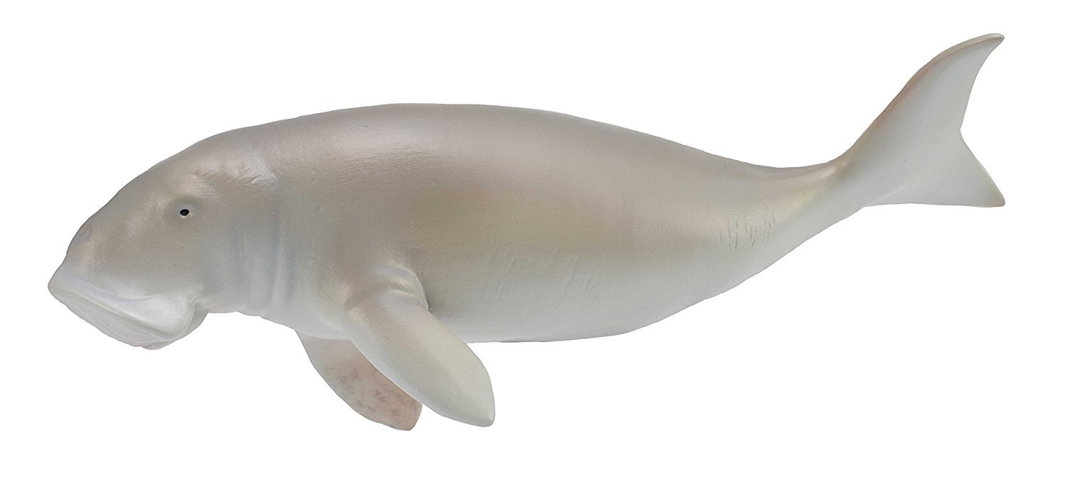 CollectA - Dugong image