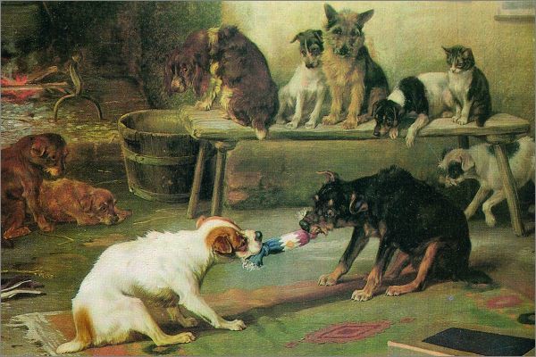 Archivist: Boxed Christmas Cards - Dogs image
