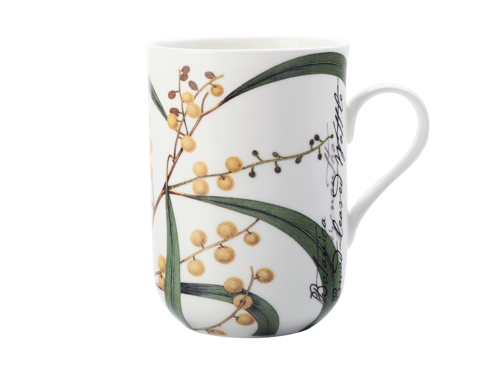 Maxwell & Williams Royal Botanic Garden Mug Wattle (300ml) at