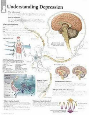 Understanding Depression