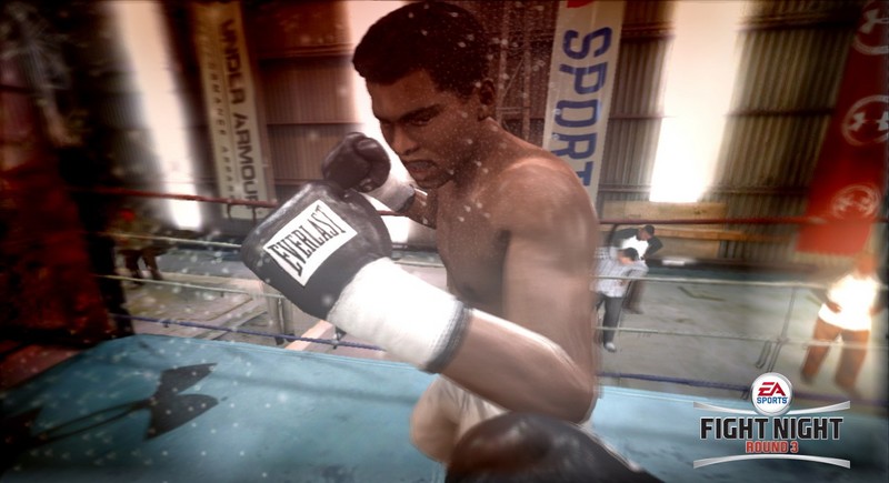 Fight Night Round 3 for PS3 image