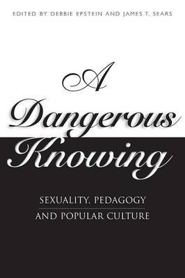 A Dangerous Knowing by Debbie Epstein image