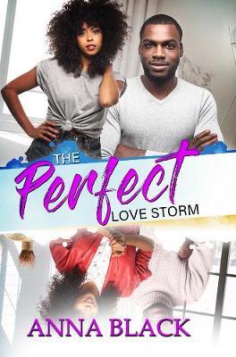 The Perfect Love Storm by Anna Black image
