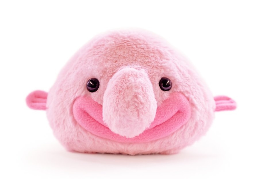 Mini Blobfish (Smiling Edition) - Mini Plush image