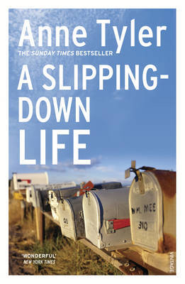 A Slipping Down Life by Anne Tyler image