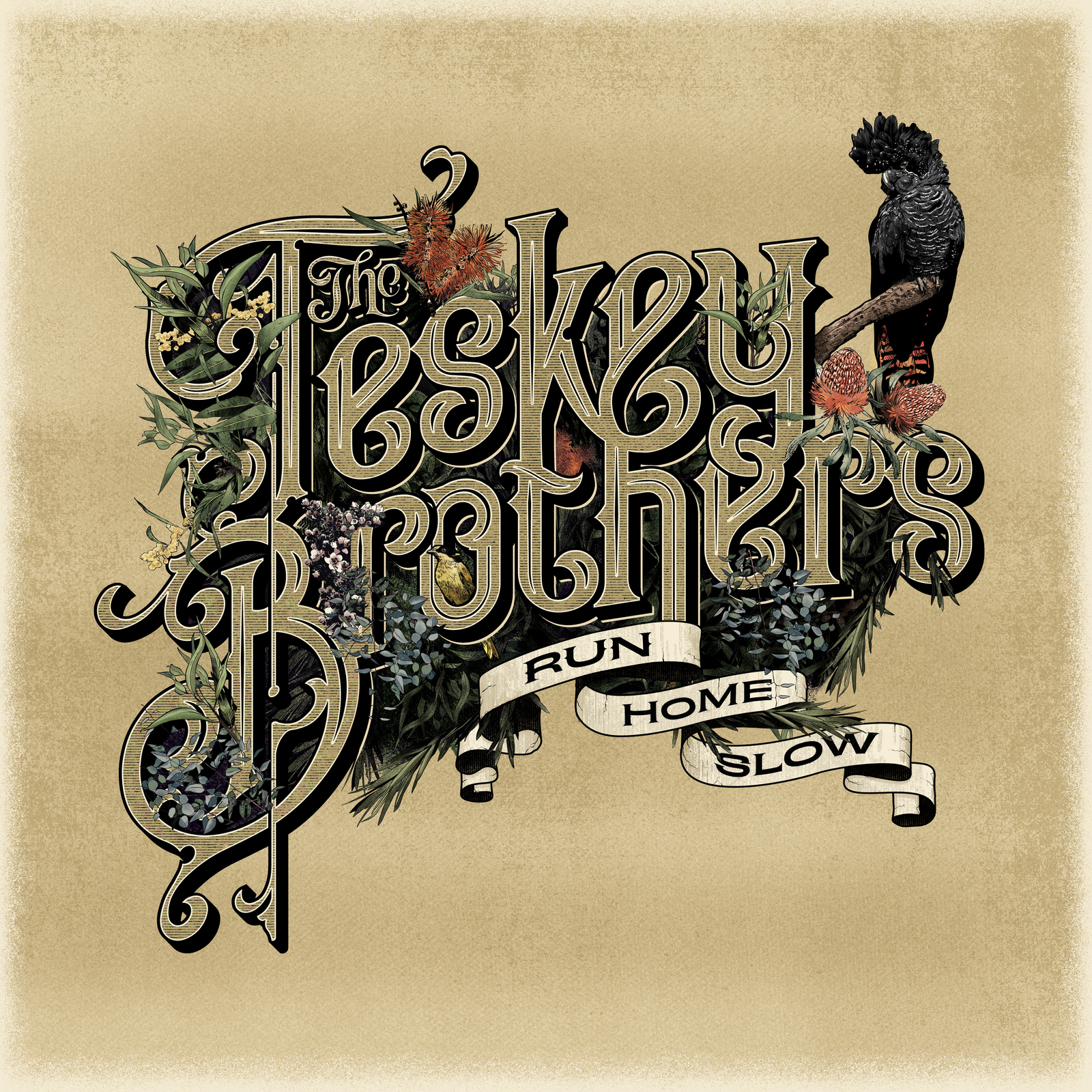 Run Home Slow by The Teskey Brothers image