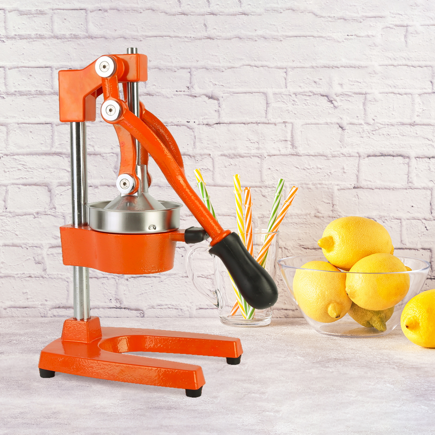 HandPress Manual Juicer at Mighty Ape NZ