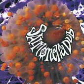 Salmonella Dub by Salmonella Dub Salmonella Dub by Salmonella Dub