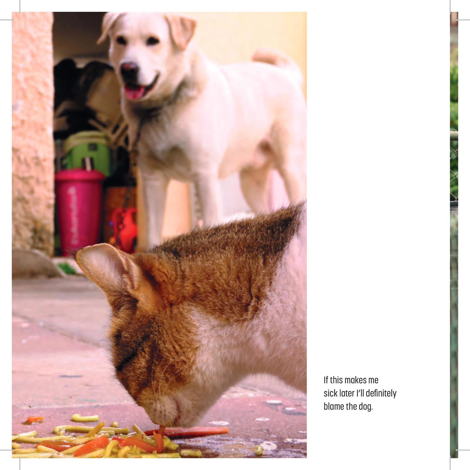 My Cat is a Dick by Malcolm Katz image